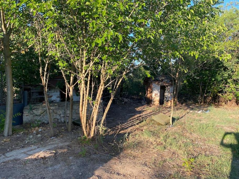 Ferienhaus Primorska Sunshine In Strandnaehe Szabła Zewnętrze zdjęcie