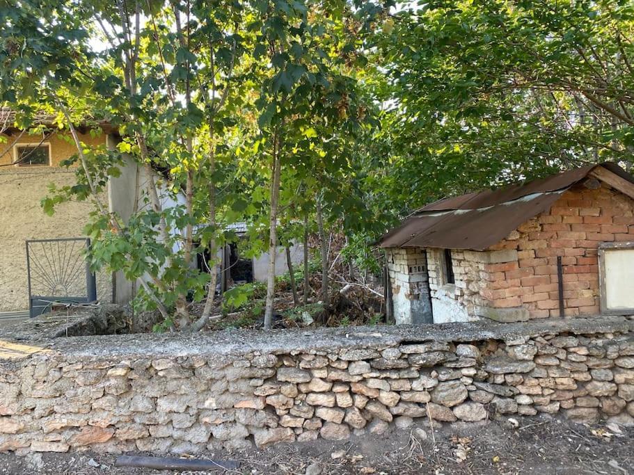Ferienhaus Primorska Sunshine In Strandnaehe Szabła Zewnętrze zdjęcie