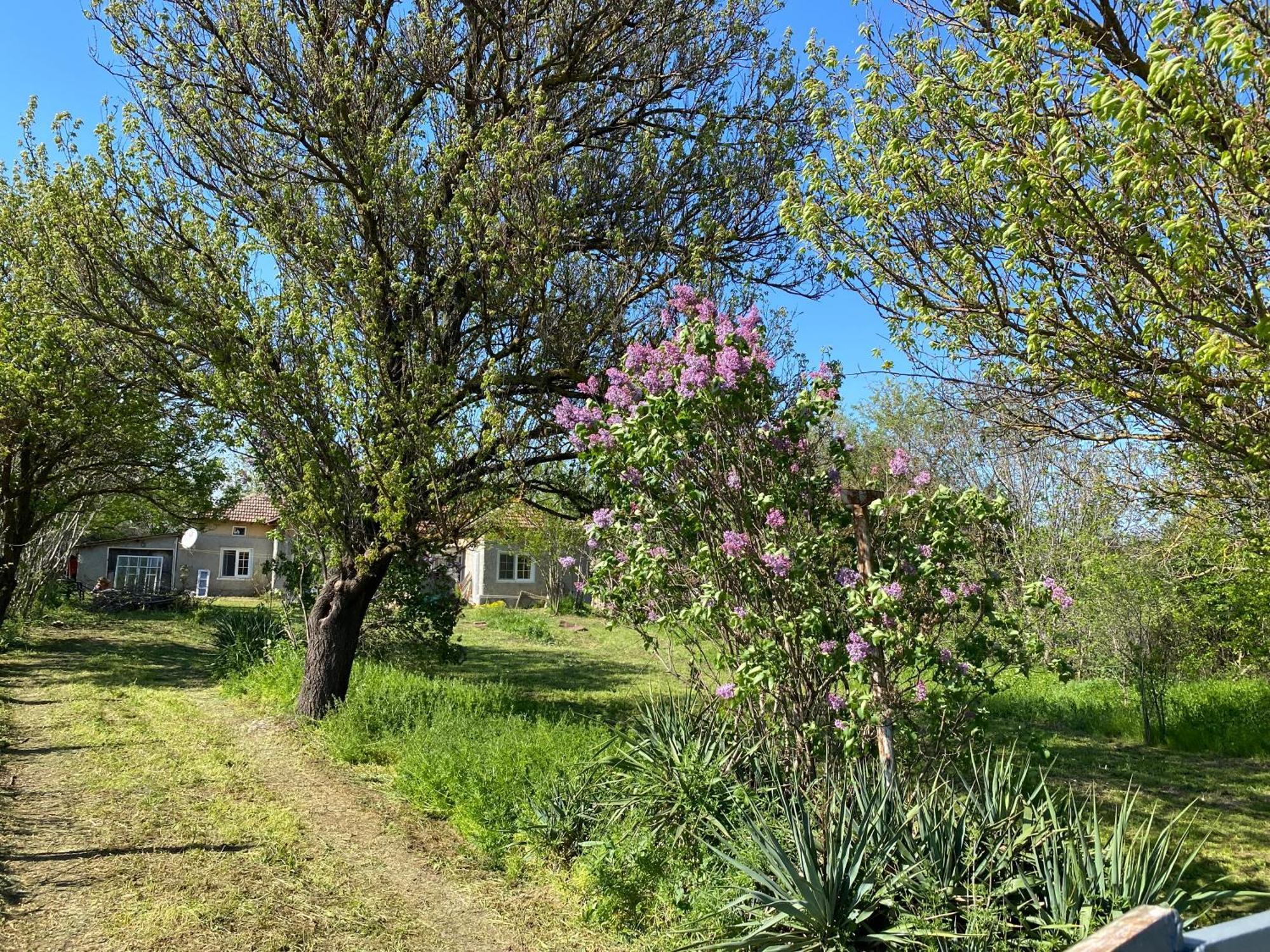 Ferienhaus Primorska Sunshine In Strandnaehe Szabła Zewnętrze zdjęcie