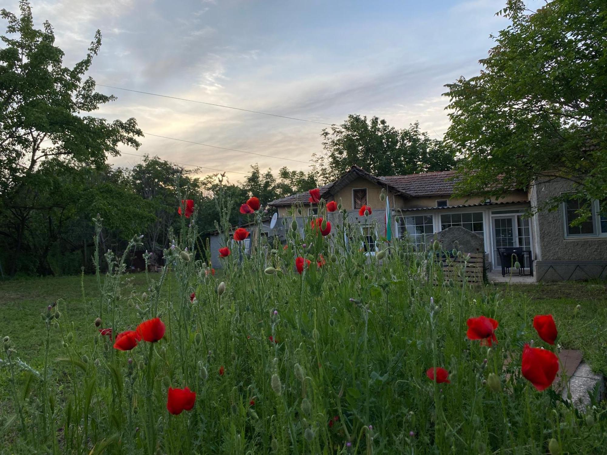 Ferienhaus Primorska Sunshine In Strandnaehe Szabła Zewnętrze zdjęcie